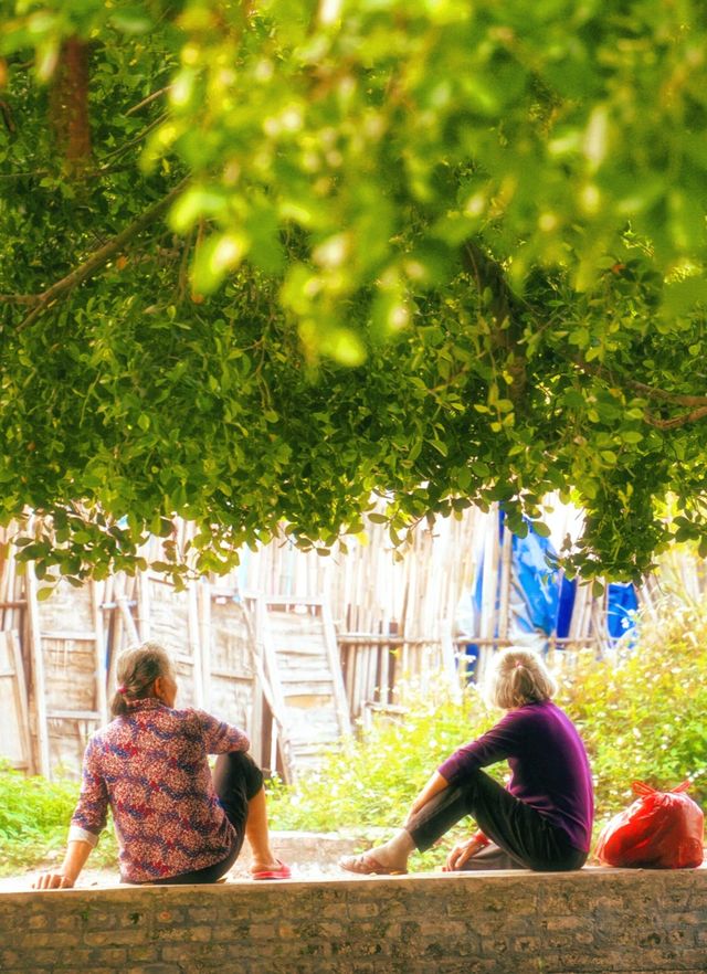 廣州1.5h超適合漫步的800年冷門古村落