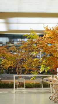 山東日照白鷺灣小鎮|闖入山東的“小阿勒泰”!