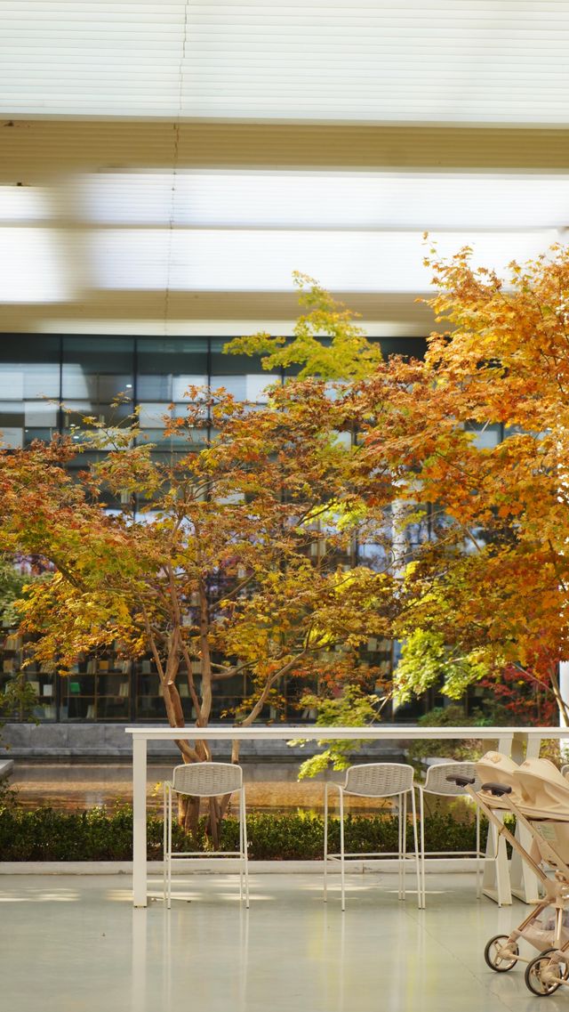 山東日照白鷺灣小鎮|闖入山東的“小阿勒泰”! 山東日照白鷺灣小鎮|闖入山東的“小阿勒泰”!