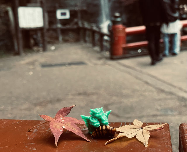 箕面公園|紅葉|箕面の滝 箕面公園|紅葉|箕面の滝