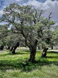 拿日雍措，水天一色的神秘聖湖