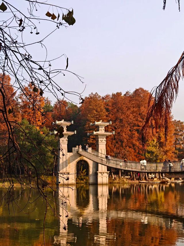 「武漢賞秋」一日遊仙境攻略~ 「武漢賞秋」一日遊仙境攻略~