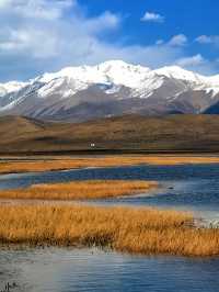 青海旅行8天遊帶你實現一場與眾不同的旅行