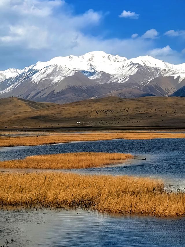 青海旅行8天遊帶你實現一場與眾不同的旅行 青海旅行8天遊帶你實現一場與眾不同的旅行