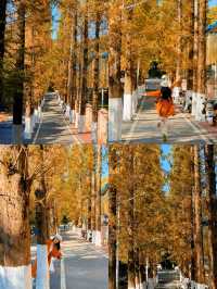 可惜你不來宜春 秋日限定打卡攻略大全