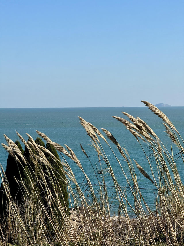 冬日青島絕美海岸線假裝在佛羅倫斯的浪漫打卡地
