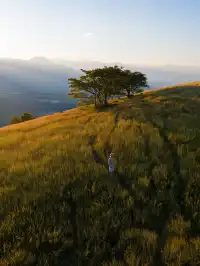 不是非洲這是雲南人自己的薩王納草原~