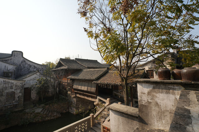 鹽官潮樂之城 · 瓷韻入夢,潮聲為伴 鹽官潮樂之城 · 瓷韻入夢,潮聲為伴