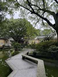 重慶散步|十一月依舊翠綠的鵝嶺公園