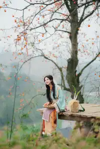 誰還沒去大貴州拍柿子？朋友問了10000次