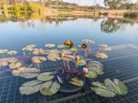 又一個公園透綠