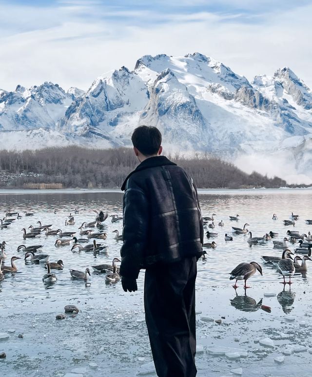 瀋陽鳥島遊玩攻略  景點概況  瀋陽鳥島是渾河水系中的天然島嶼，佔地面積49.26公頃，東北亞候鳥遷