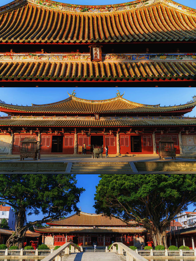 泉州，我旅途上最大的「意難平」！這座城市的美你想像不到