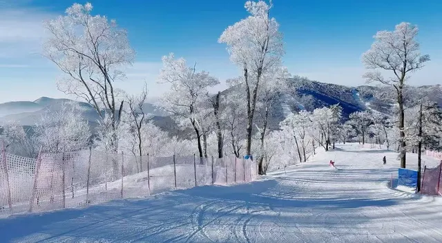 今日北大湖霧淞大賞,最強看霧淞攻略 今日北大湖霧淞大賞,最強看霧淞攻略