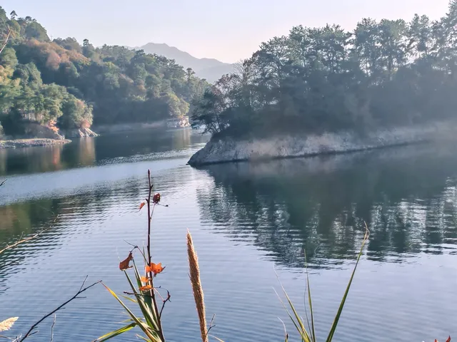 千島湖②｜秋冬環湖自駕