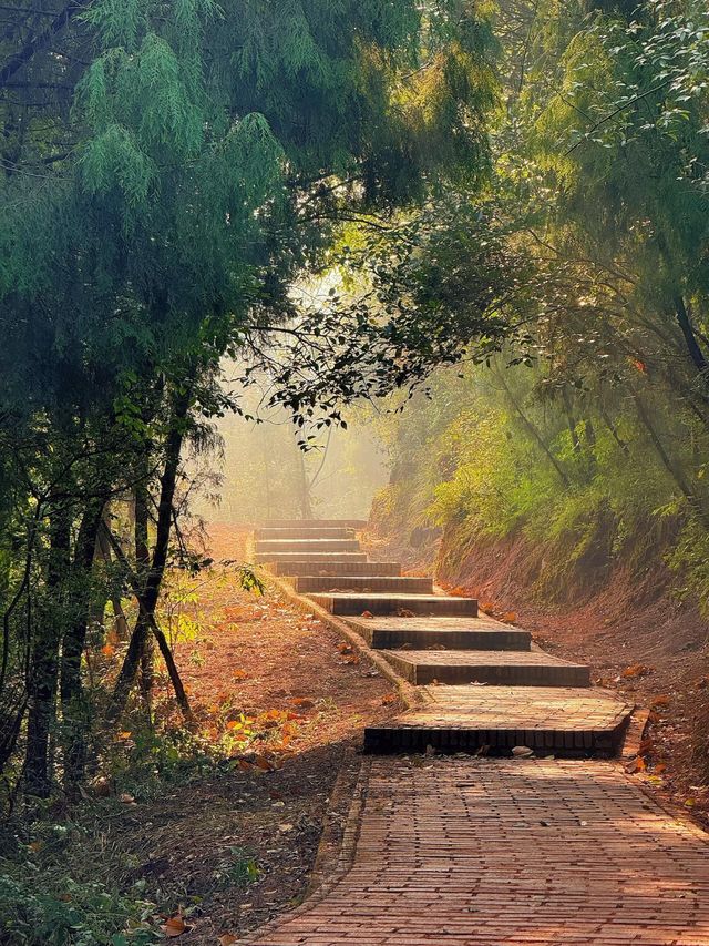 成都0.5h公交直達的秋日橘林徒步路線~#秋季去爬山南門 成都0.5h公交直達的秋日橘林徒步路線~#秋季去爬山南門