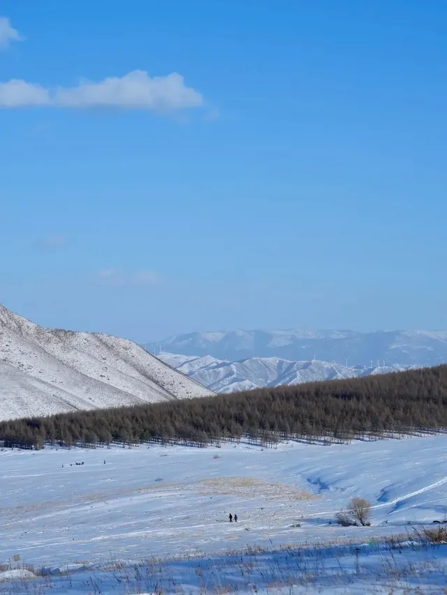 特價88元 樺皮嶺一日徒步踏雪,冬日浪漫 特價88元 樺皮嶺一日徒步踏雪,冬日浪漫