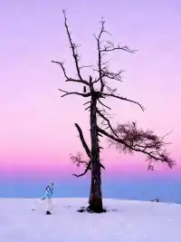 阿勒泰冬季打卡9大封神機位（附3k＋攻略！