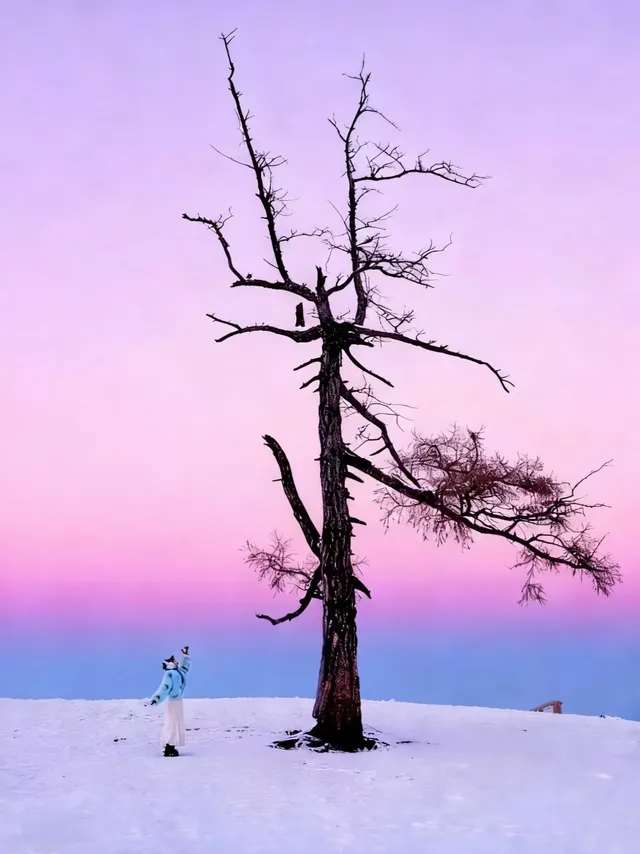 阿勒泰冬季打卡9大封神機位（附3k＋攻略！