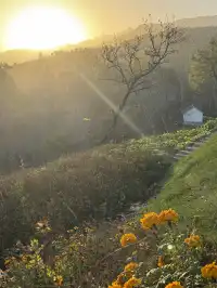 在秦嶺山脈下看星星灑下來~