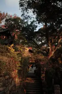 被香火與古木浸透