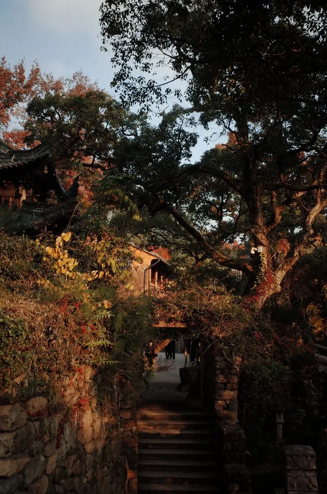 被香火與古木浸透 被香火與古木浸透