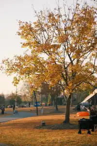 上海辰山植物園|去過超十次,還是想去!