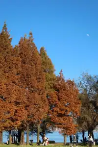 淡季的雲南，真的太美了！！