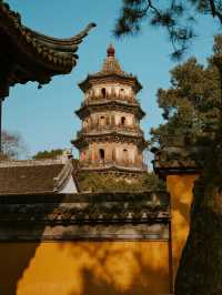 蘇州虎丘冬雪紅楓親子遊!帶娃打卡不費媽~