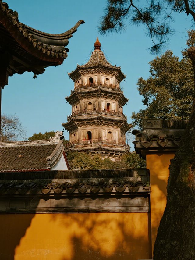 蘇州虎丘冬雪紅楓親子遊!帶娃打卡不費媽~ 蘇州虎丘冬雪紅楓親子遊!帶娃打卡不費媽~