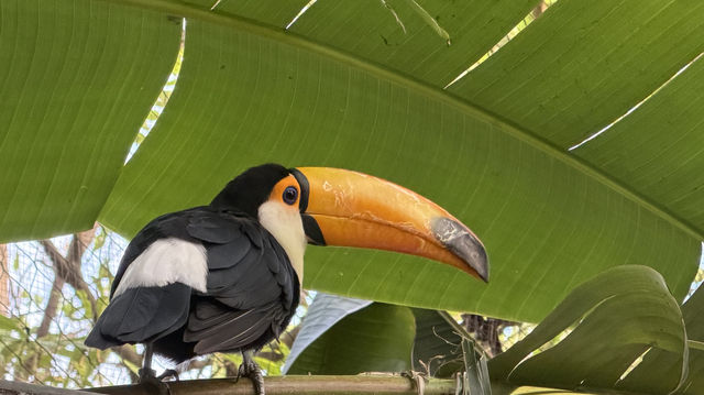 廈門冬暖｜靈玲動物園裡藏著雙倍浪漫