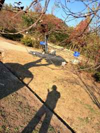 週末/假日逃離計劃|且息山裡的24h山野治癒時光