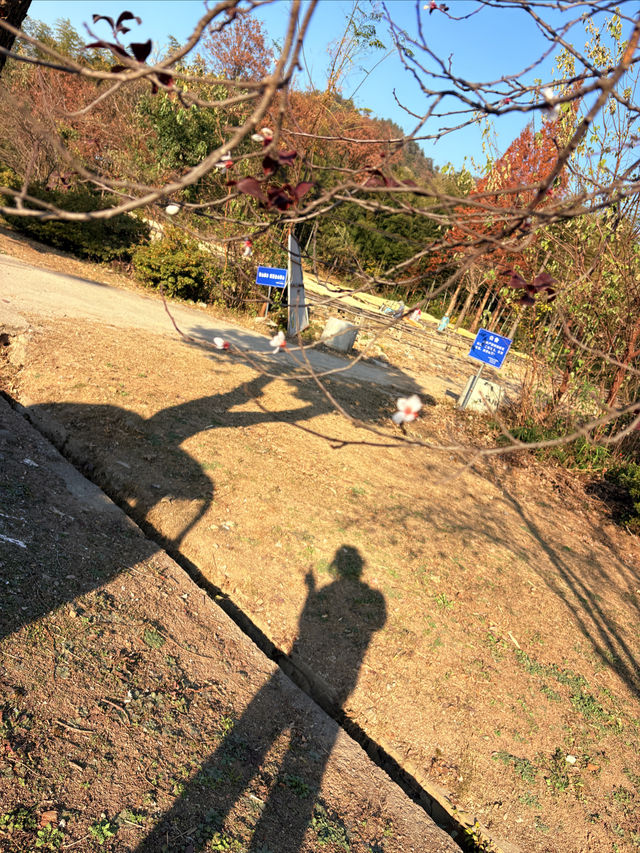 週末/假日逃離計劃|且息山裡的24h山野治癒時光 週末/假日逃離計劃|且息山裡的24h山野治癒時光