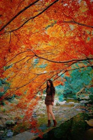 12.12 การถ่ายทอดสด Jiuxi! คู่มือฉบับสมบูรณ์ Xingxingfeng พร้อมเส้นทาง