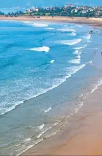 揚州遇見舟山，美好正在發生