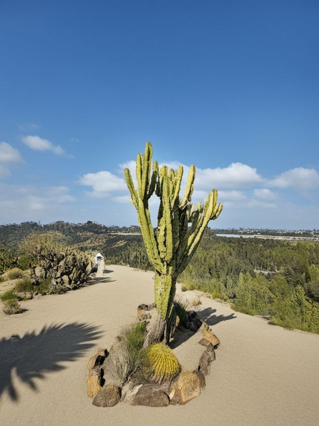 小長假美國14天 玩到爽攻略來啦