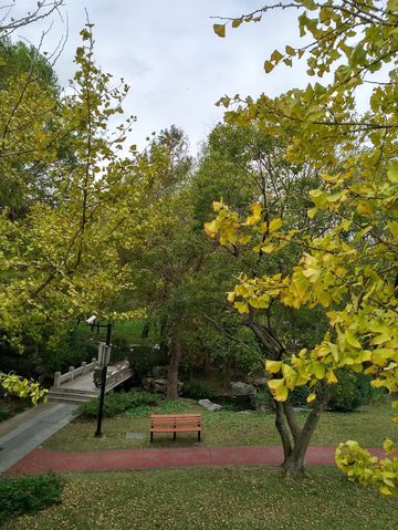 免費且24h開放!上海小眾江景公園,騎行觀鳥太絕了 免費且24h開放!上海小眾江景公園,騎行觀鳥太絕了