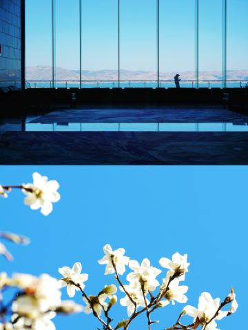 Avoid the crowds! Dali's top-tier ocean-view hotel, every frame is wallpaper-worthy.