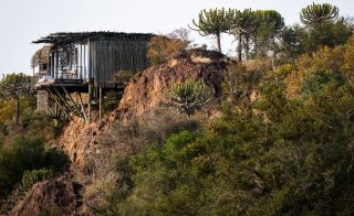 남아프리카 크루거 야생 럭셔리｜Singita Lebombo Lodge