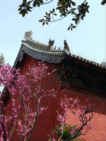 洛陽白馬寺：中国仏教史の半分を巡る深い旅 | Trip.com 洛陽