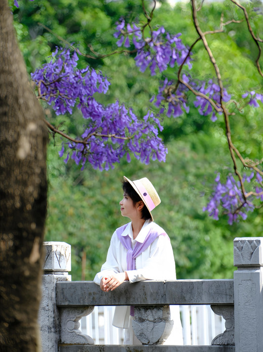 Kunming Exclusive｜Lost in the Purple Dream of Jacaranda | Trip