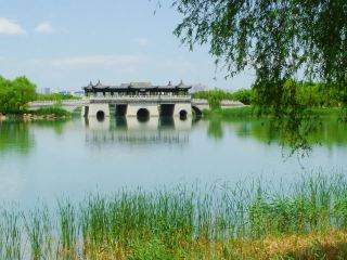 Xingtai Baoxiang Valley Flower Sea Roaming Journal
