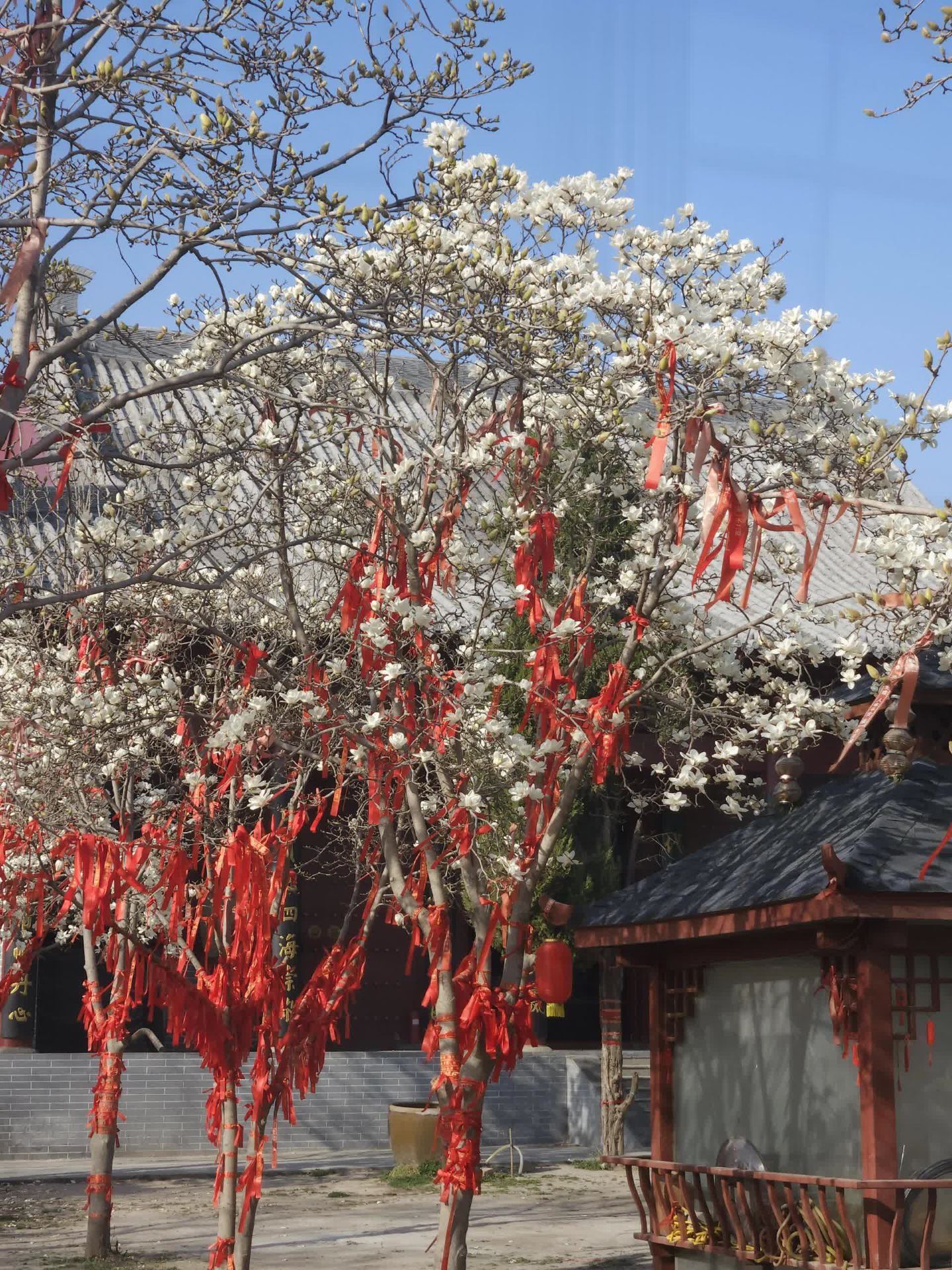 Exploring the Hometown of Hua Mulan｜Yucheng Mulan Shrine, Encounter the Heroine