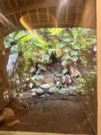 A Magical Retreat to Reset and Recharge