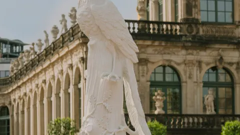 300 years ago, the Germans burned a peacock to life-size. — traveler post in Dresden
