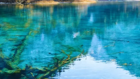 Senior travel guide for the US—highly recommended for saving — traveler post in Spokane