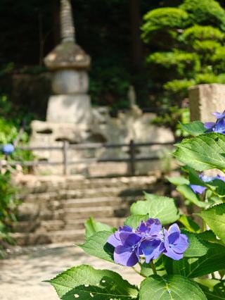 Trip to Yamadera