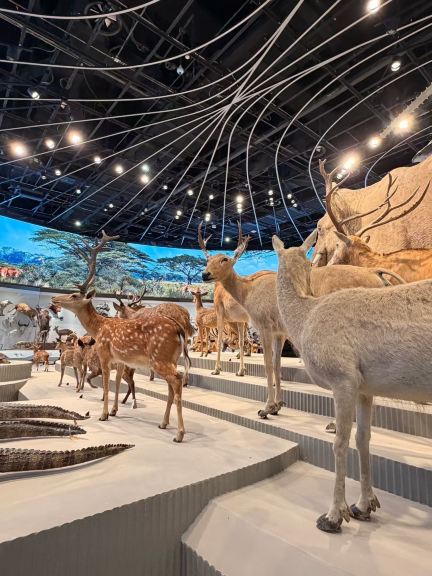 深圳の新しいランドマーク！華南最大の自然博物館 | Trip.com 深セン