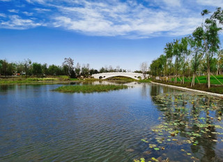Beijing Doudian New Town Forest Park travel guide