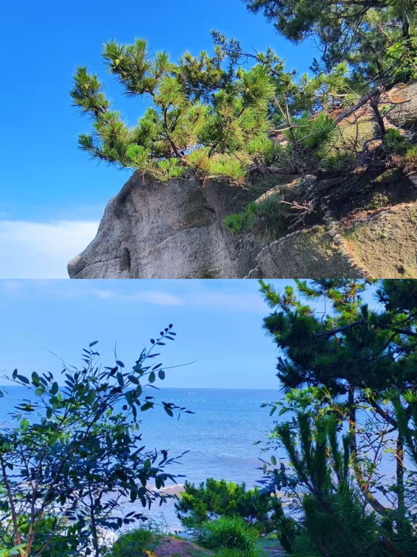 乳山已回，後勁真的太大了。